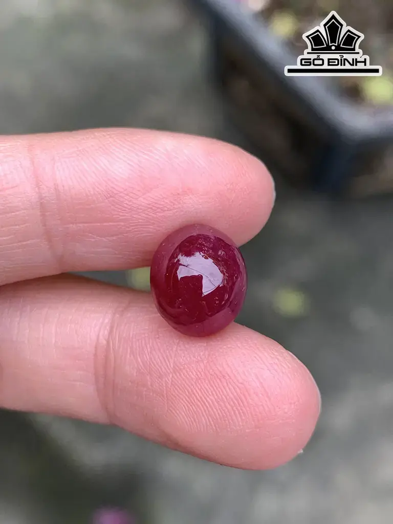 Viên Đá Ruby Đỏ Huyết Cao 11 Ngang 9,5 Sâu 6,5 (mm) 7,03cts