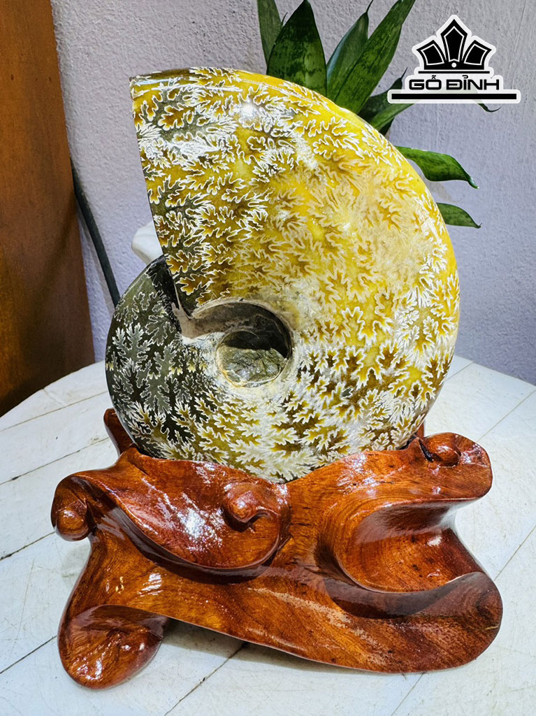 Tác Phẩm Ốc Anh Vũ Hóa Ngọc Cao 20 Ngang 13 (cm) 1,5kg