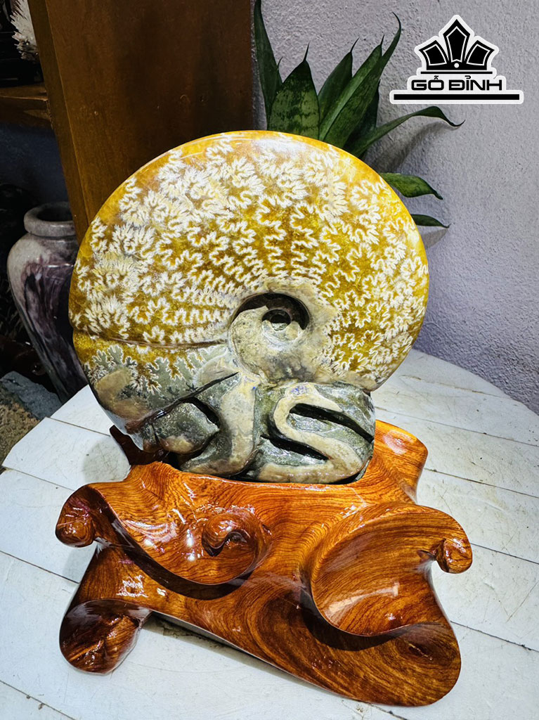 Tác Phẩm Ốc Anh Vũ Vòi Hóa Ngọc Cao 23 Ngang 15 (cm) 1,9kg