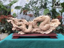 Tượng Nhất Long Vờn Ngọc Gỗ Long Não Cao 33 Ngang 70 Sâu 18 (cm)