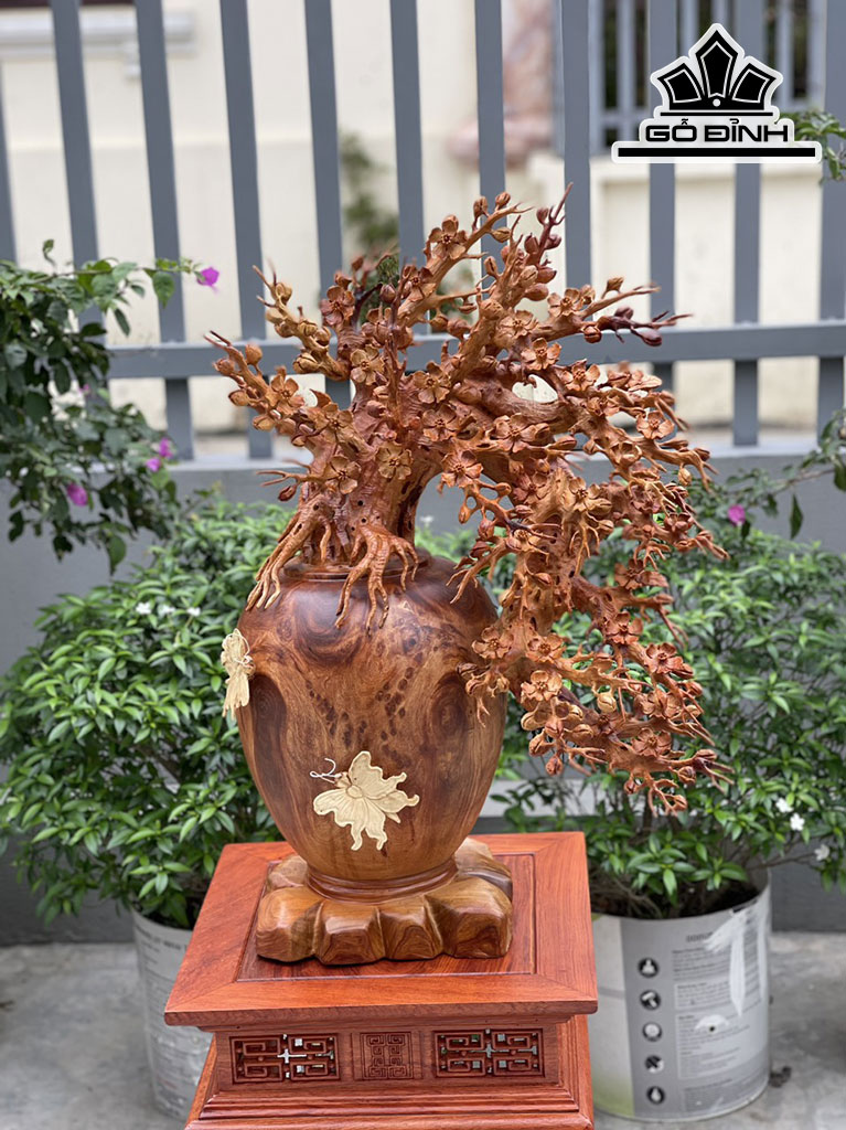 Bình Hoa Mai Gỗ Nu Hương Cao 68 Ngang 48 Sâu 32 (cm)