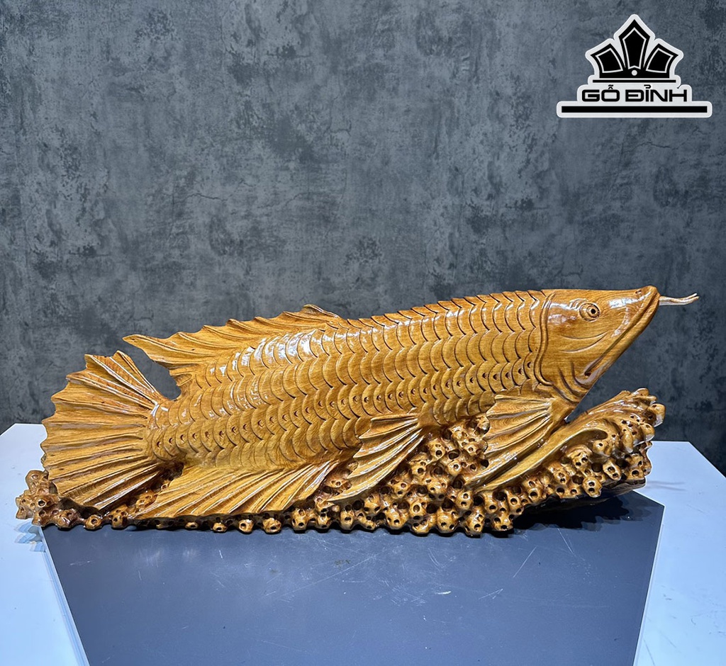 Tượng Cá Kim Long Gỗ Ngọc Am Cao 25 Ngang 72 Sâu 14 (cm)