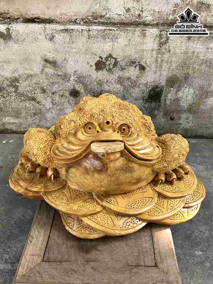 Tượng Cóc Ngậm Tiền gỗ nu kháo  Rộng 51 Dày 53 Cao 26 (cm)