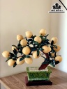 Cây Đào 18 Quả Đá Ngọc Hoàng Long Cao 43 Ngang 48 (cm) 9kg