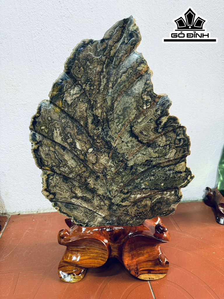 Tác Phẩm Chiếc Lá Gỗ Thủy Tùng Hóa Thạch Cao 56 Ngang 37 (cm) 11,6kg