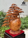 Bình Tùng Gỗ Nu Hương Cao 72 Ngang 65 Sâu 30 (cm)