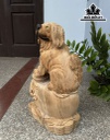 Tượng Chó Gỗ Ngọc Am Cao 44 Ngang 26 Sâu 20 (cm)