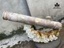 Điếu Trưng Bày Gỗ Nu Nghiến Đường Kính 9 Dài 63 (cm)