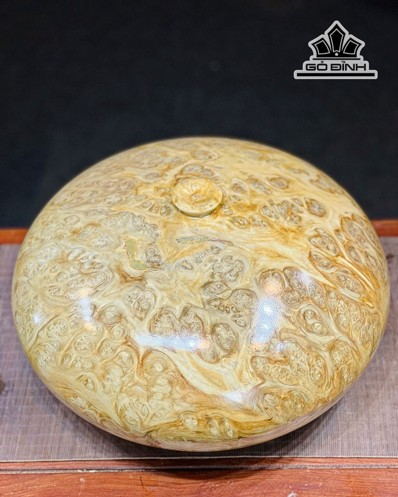 Chum Phú Quý Gỗ Nu Nghiến Cao 22 Đường Kính 39 (cm)