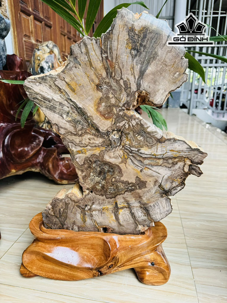 Tác Phẩm Gỗ Hóa Thạch Cao 60 Ngang 40 Sâu 5,5 (cm) 18,2kg