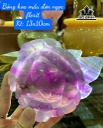 Bông Hoa Mẫu Đơn Đá Flourite Cao 13 Ngang 10 (cm)