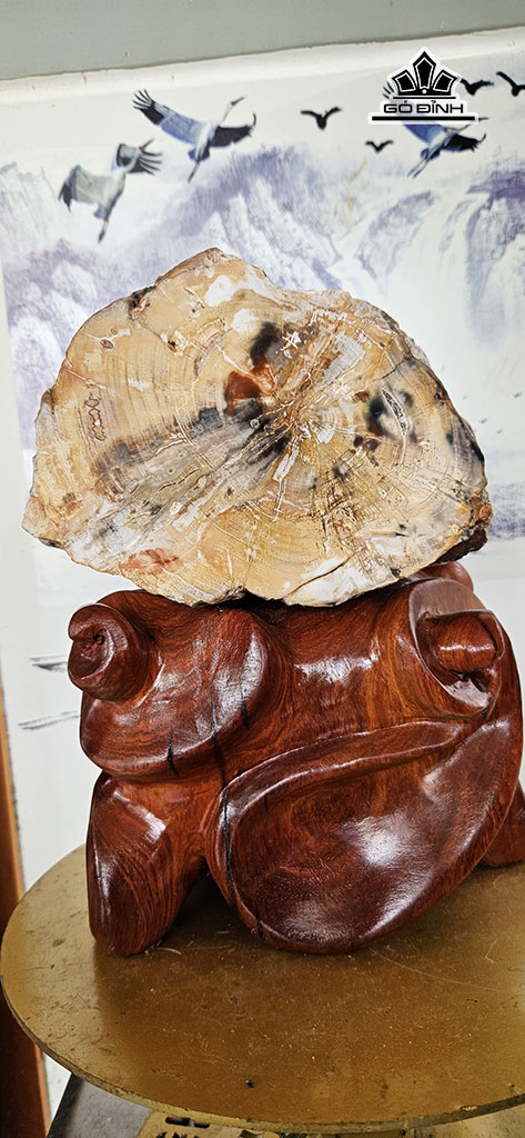Tác Phẩm Gỗ Hóa Ngọc Cao 27 Ngang 17 (cm) 7kg