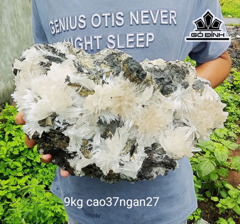 Bông Hoa Ưu Đàm Đá Trầm Tích Cao 37 Ngang 27 (cm) 9kg