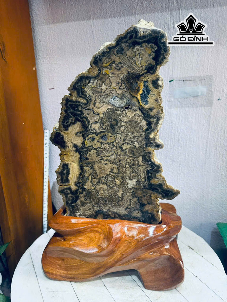 Tác Phẩm Lát Gỗ Thủy Tùng Gỗ Hóa Thạch Cao 52 Ngang 25 Sâu 4,5 (cm) 8,8kg