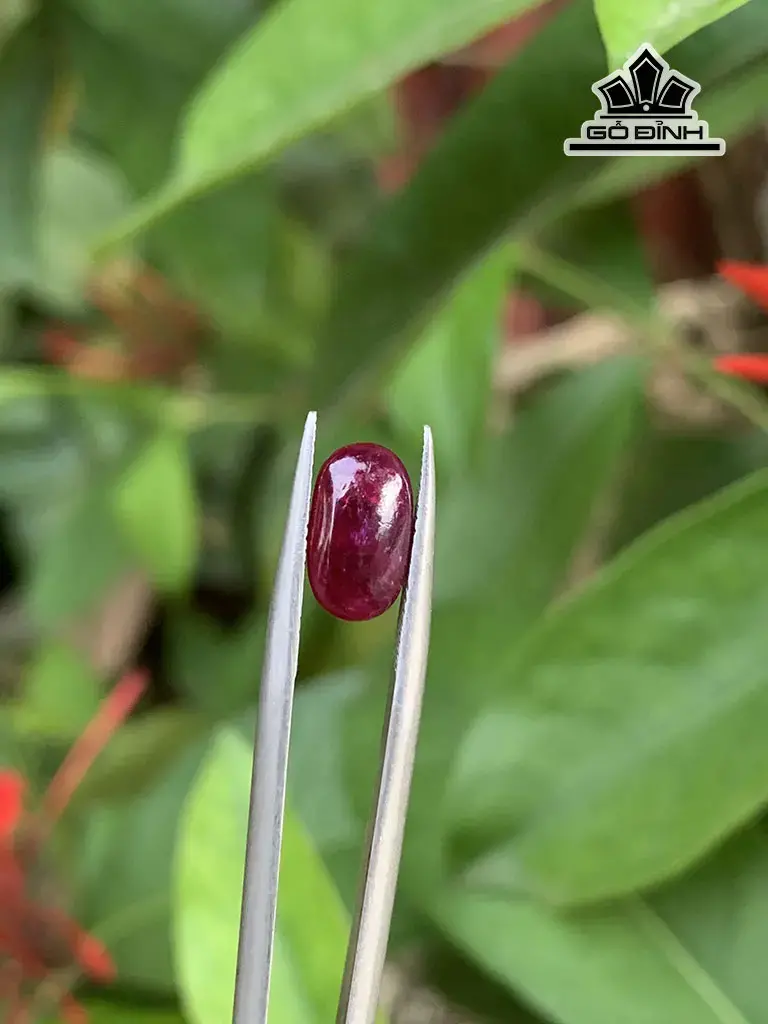 Viên Đá Ruby Lục Yên Cao 9,8 Ngang 5,6 Sâu 2,3 (mm) 1,60cts