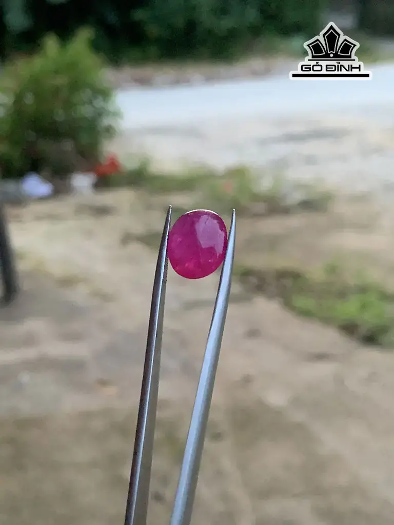 Viên Đá Ruby Sao Yên Bái Cao 13,5 Ngang 11 Sâu 4,6 (mm) 7,25cts