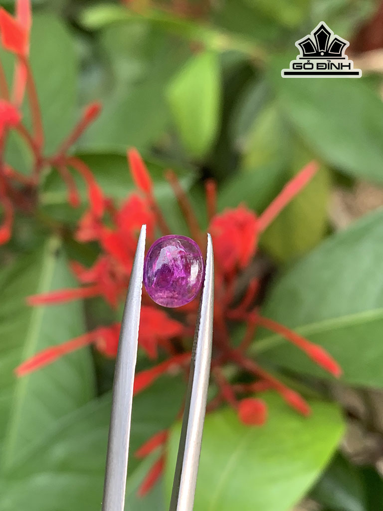 Viên Đá Sapphire Cao 2,5 (mm) 1,55cts