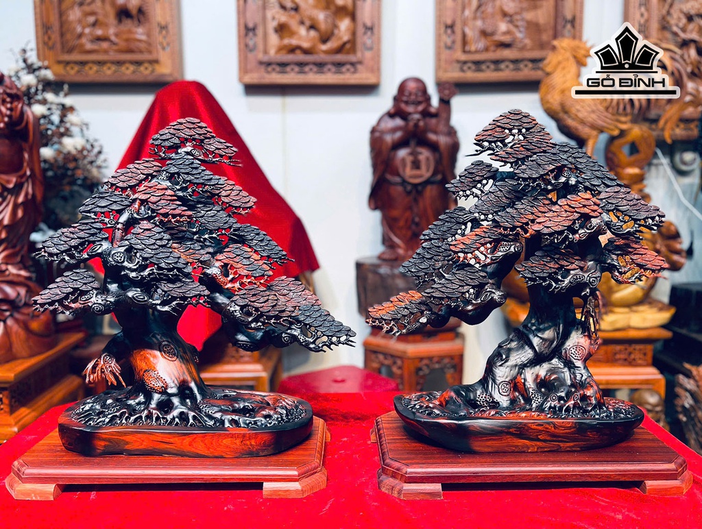 Cặp Chậu Tùng Bonsai Gỗ Trắc Cao 52-54 Ngang 43 Sâu 24 (cm)