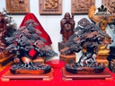 Cặp Chậu Tùng Bonsai Gỗ Trắc Cao 52-54 Ngang 43 Sâu 24 (cm)