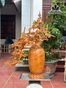 Bình Hoa Mai Phú Quý Gỗ Hương Cao 100 Ngang 70 Sâu 48 (cm)