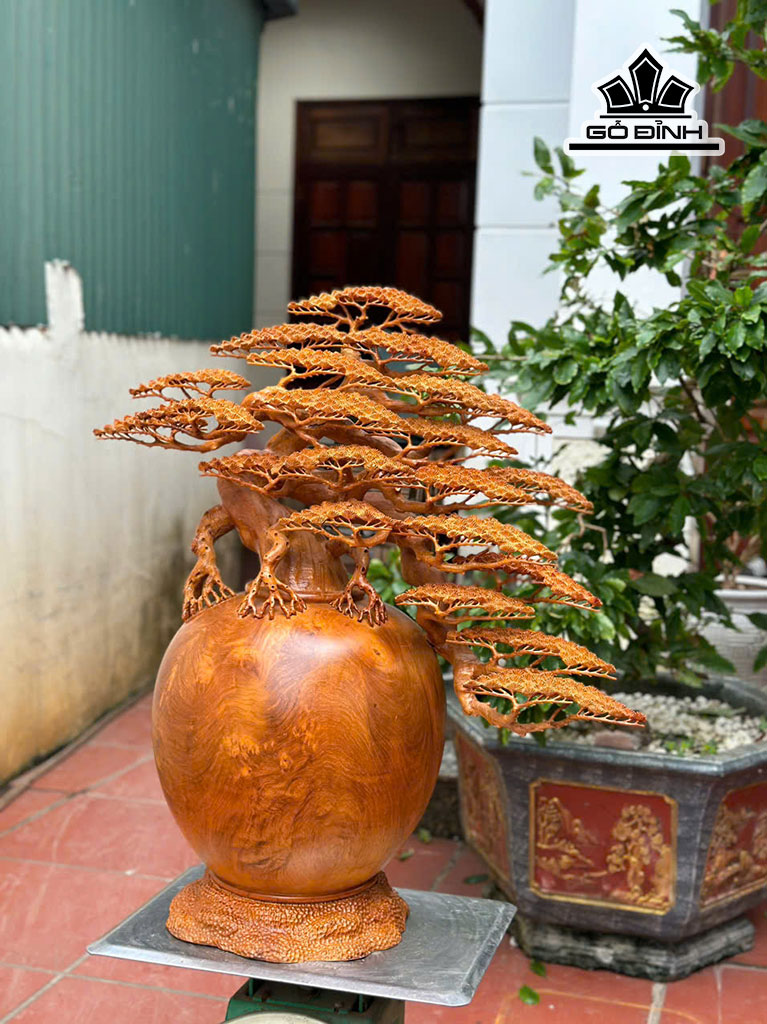 Bình Tùng Bonsai Gỗ Hương Cao 77 Ngang 70 Sâu 35 (cm)
