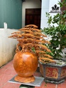 Bình Tùng Bonsai Gỗ Hương Cao 77 Ngang 70 Sâu 35 (cm)