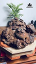 Tượng Tam Cóc Ngậm Tiền Gỗ Trắc Cao 27 Ngang 40 Sâu 37 (cm)