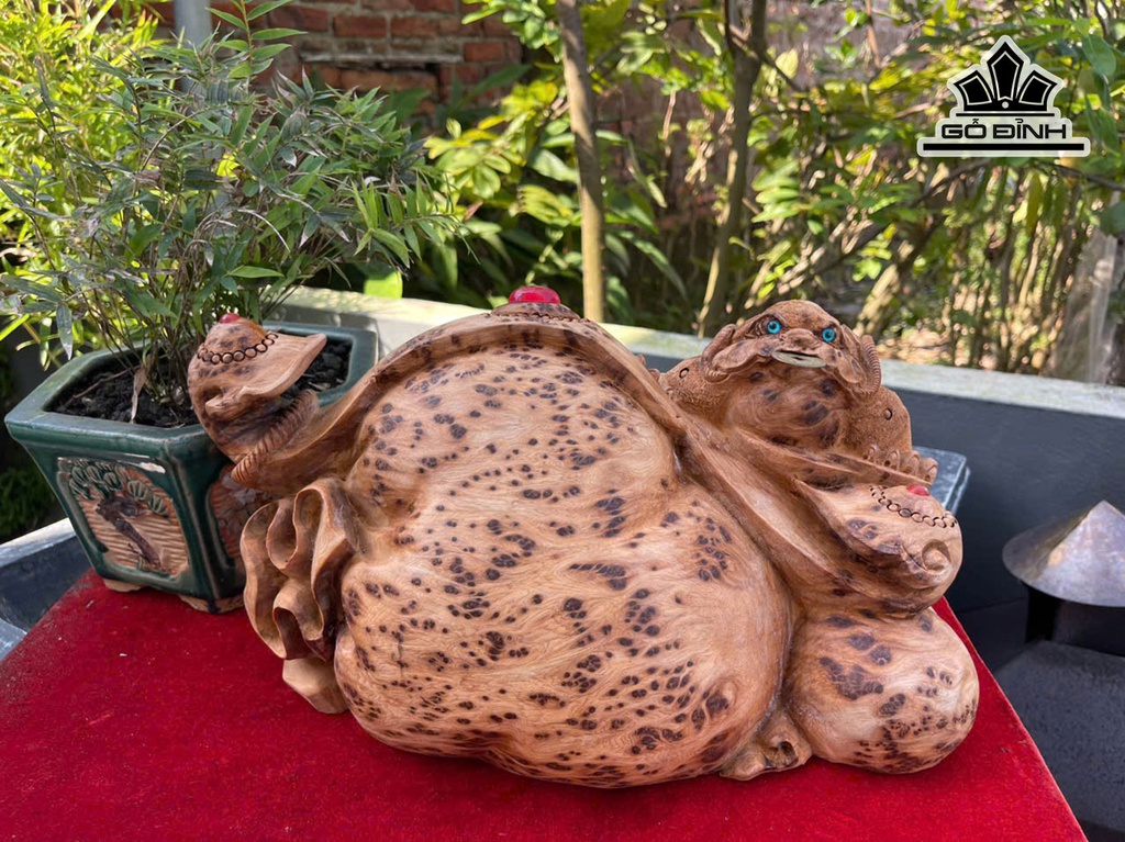 Tượng Thiềm Thừ Gỗ Nu Ngọc Am Cao 21 Ngang 37 Sâu 23 (cm)