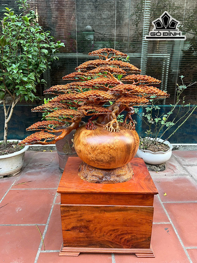 Bình Tùng Bonsai Gỗ Nu Hương Cao 70 Rộng 78 - Đường Kính Thân Bình 35 (cm)