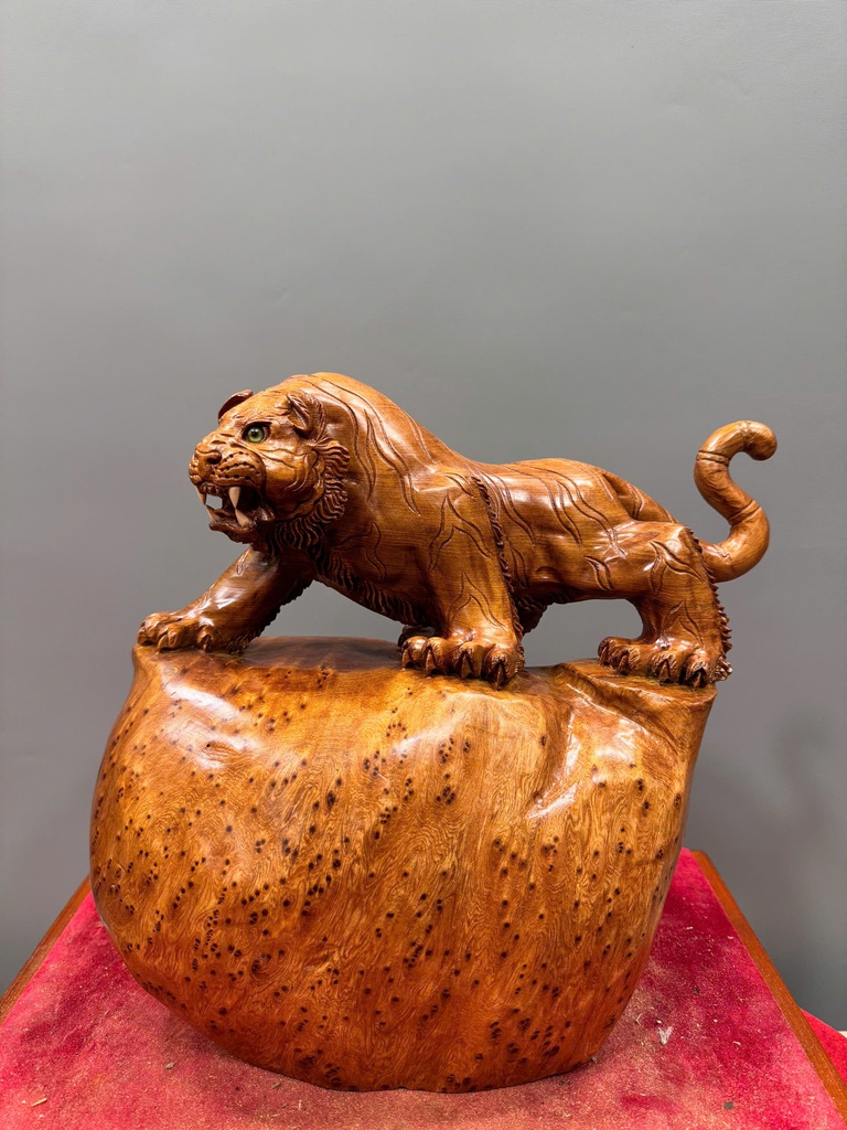 Tượng Hổ Phong Thủy Gỗ Nu Ngọc Am Cao 27 Ngang 30 Sâu 20 (cm)