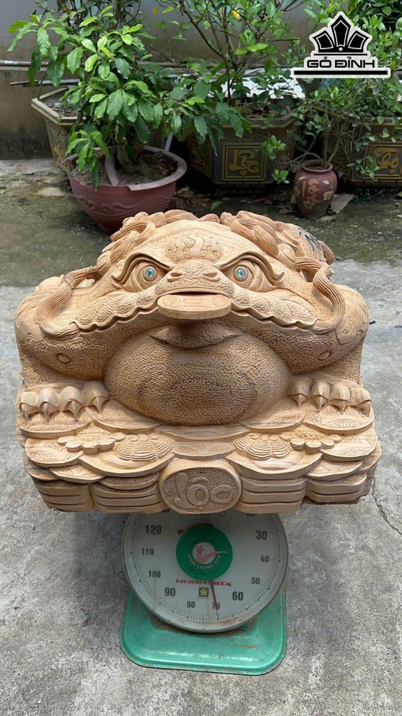 Tượng Thiềm Thừ Gỗ Ngọc Am Cao 41 Ngang 63 Sâu 65 (cm)