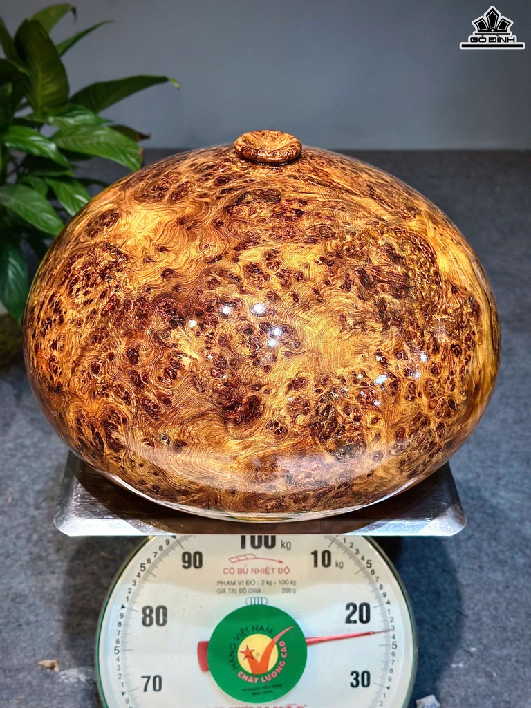 Phú Quý Gỗ Nu Ngọc Am Cao 27 Đường Kính 40 (cm)