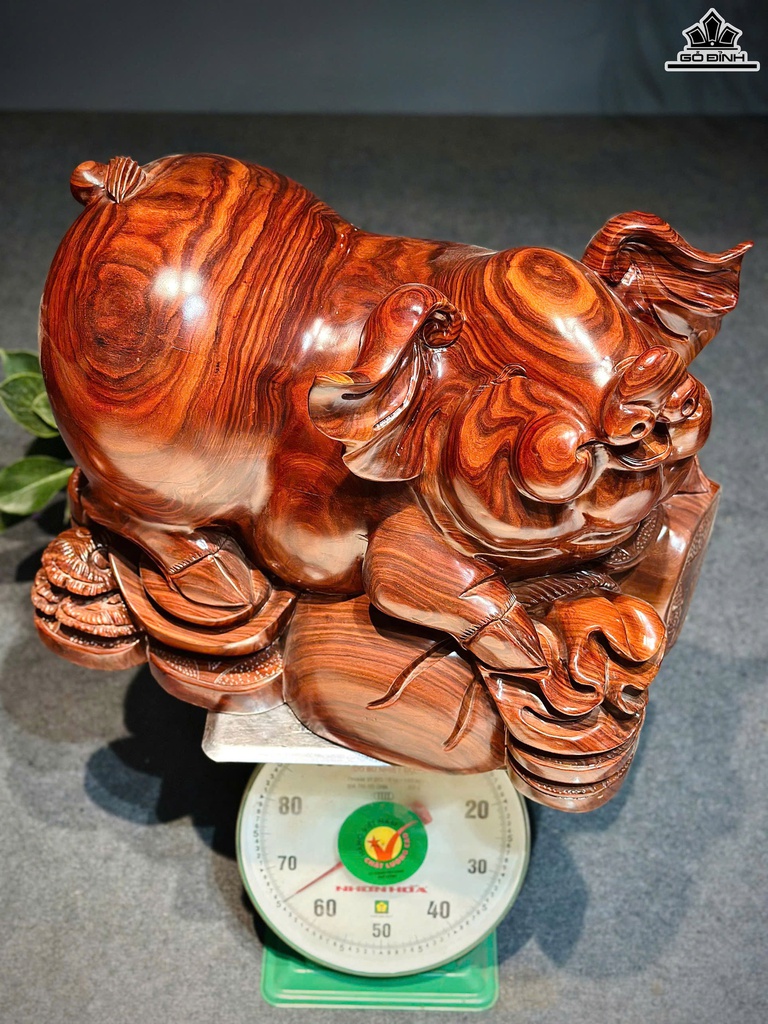 Tượng Heo Gỗ Cẩm Cao 43 Ngang 58 Sâu 35 (cm)