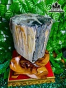 Tác Phẩm Cây Gió Bầu Hóa Thạch Cao 32 Ngang 17 (cm) 8,2kg