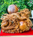 Tượng Rồng ( Nhất Long) Gỗ Nu Ngọc Am Cao 53 Ngang 66 Sâu 32 (cm)