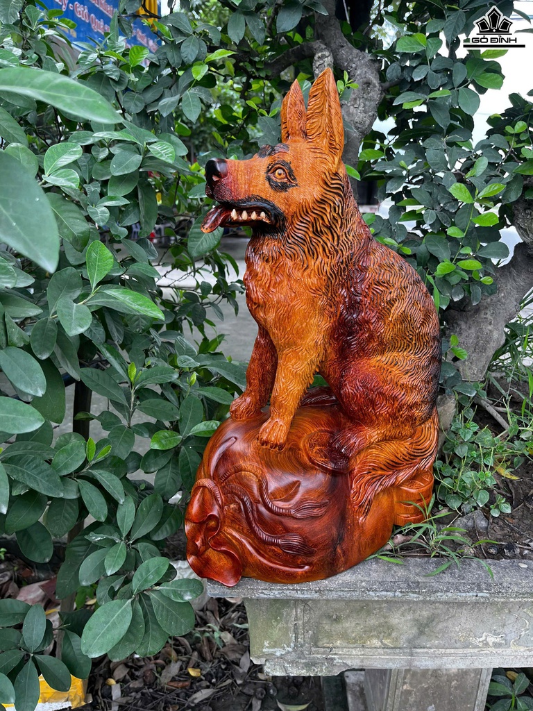 Tượng Chó Gỗ Hương Cao 50 Ngang 36 Sâu 20 (cm)