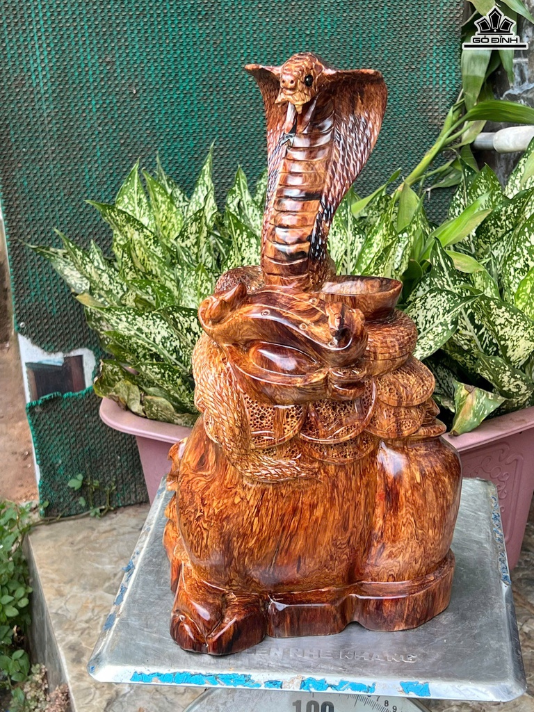 Tượng Rắn Phong Thủy Gỗ Cẩm Cao 45 Ngang 30 Sâu 26 (cm)