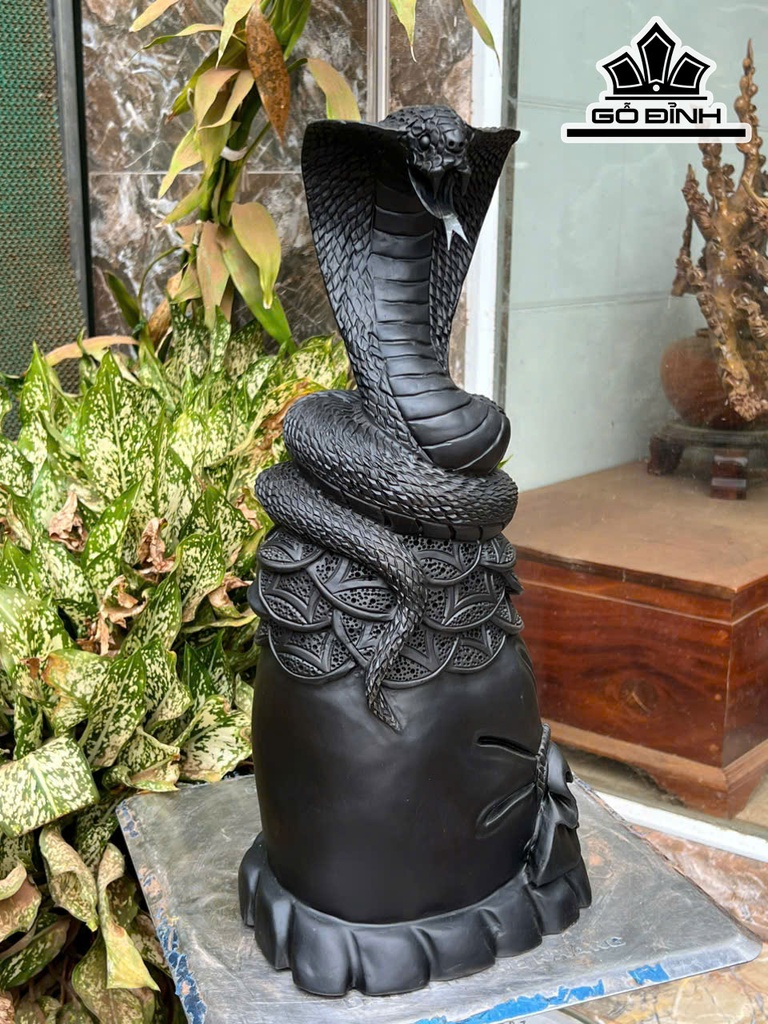Tượng Rắn Phong Thủy Gỗ Mun Sừng Cao 47 Ngang 22 Sâu 17 (cm)