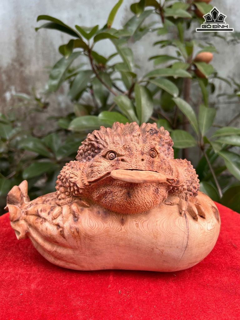 Tượng Thiềm Thừ Gỗ Nu Ngọc Am Cao 16 Ngang 23 Sâu 14 (cm)