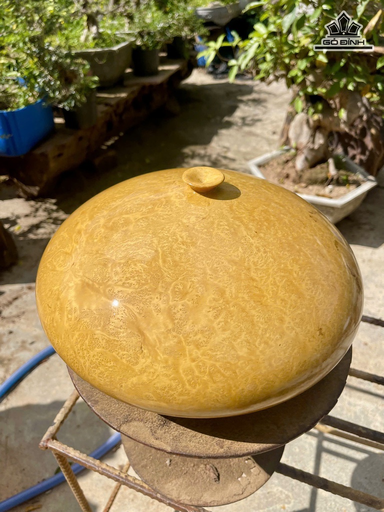 Bình Phú Quý Gỗ Nu Bằng Lăng Cao 17 Đường Kính Bình 32 (cm)