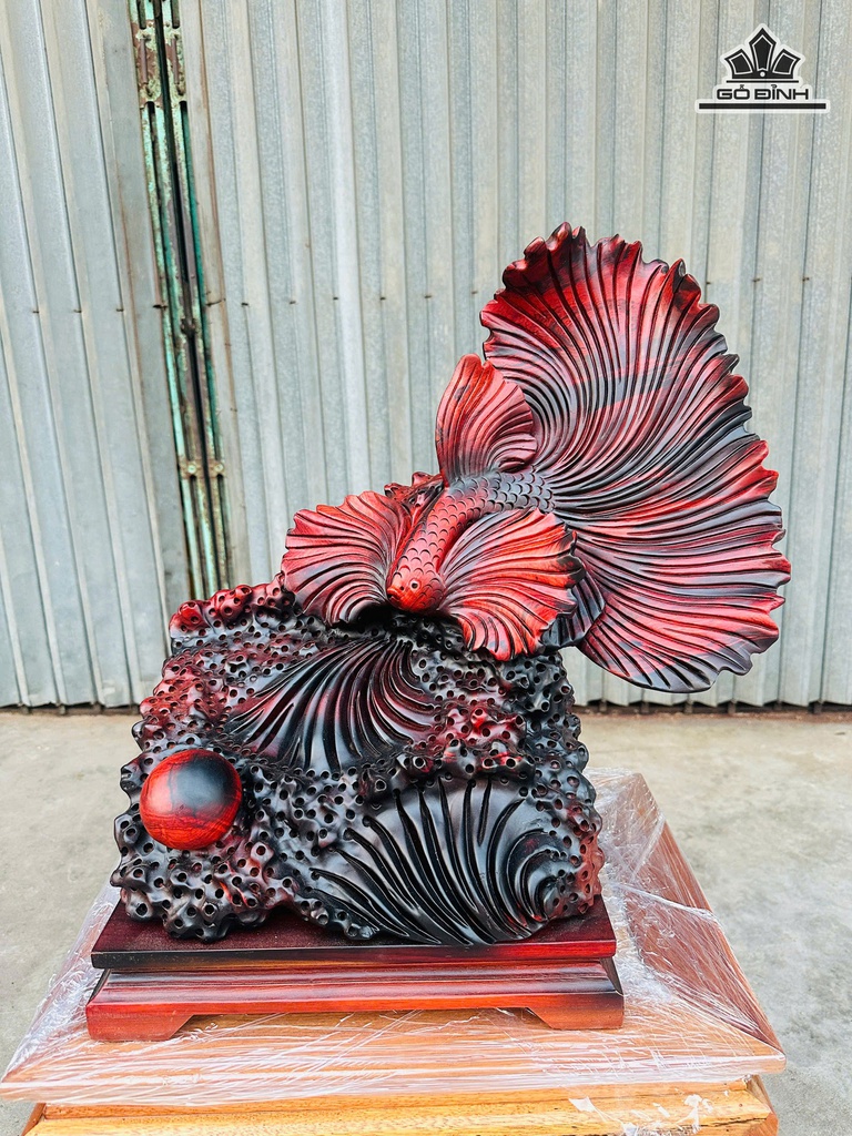 Tượng Cá Xiêm Gỗ Trắc Cao 52 Ngang 48 Sâu 30 (cm)