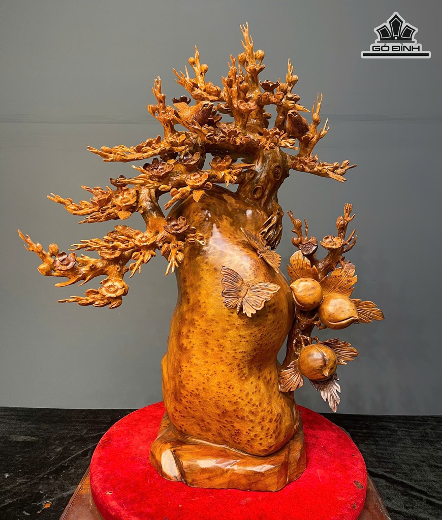 Cây Hoa Mai Gỗ Nu Ngọc Am Cao 79 Ngang 58 Sâu 26 (cm)