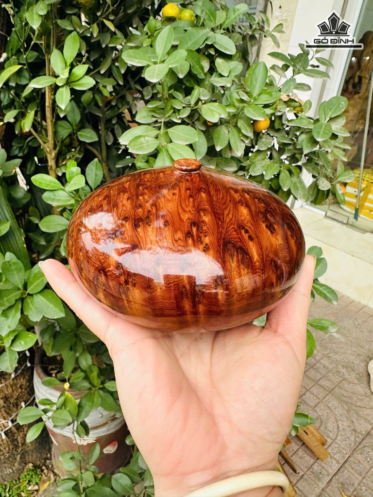 Chum Phú Quý Gỗ Nu Ngọc Am Cao 7,5 Đường Kính 13 (cm)