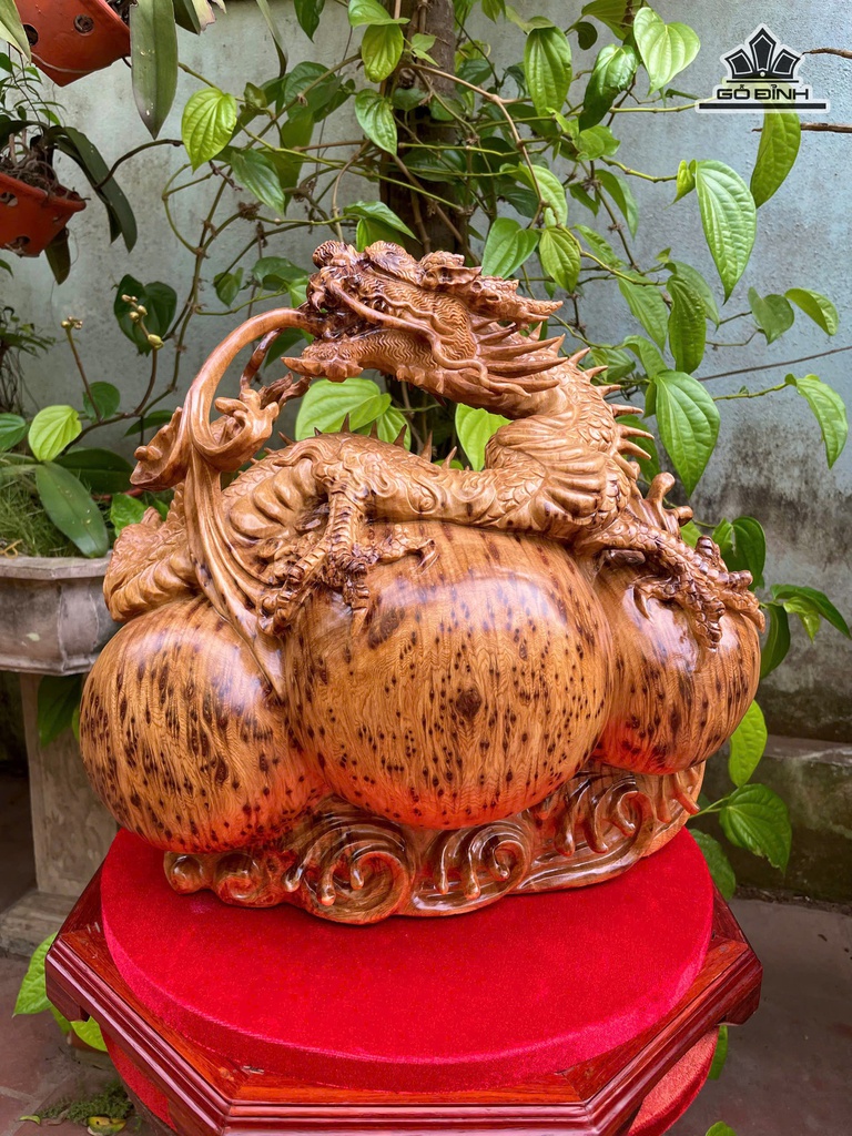 Tượng Rồng ( Nhất Long) Gỗ Nu Ngọc Am Cao 39 Ngang 43 Sâu 25 (cm)