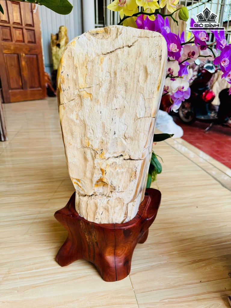 Tác Phẩm Gỗ Hóa Ngọc Cao 52 Ngang 20 (cm) 17kg Cả Đế