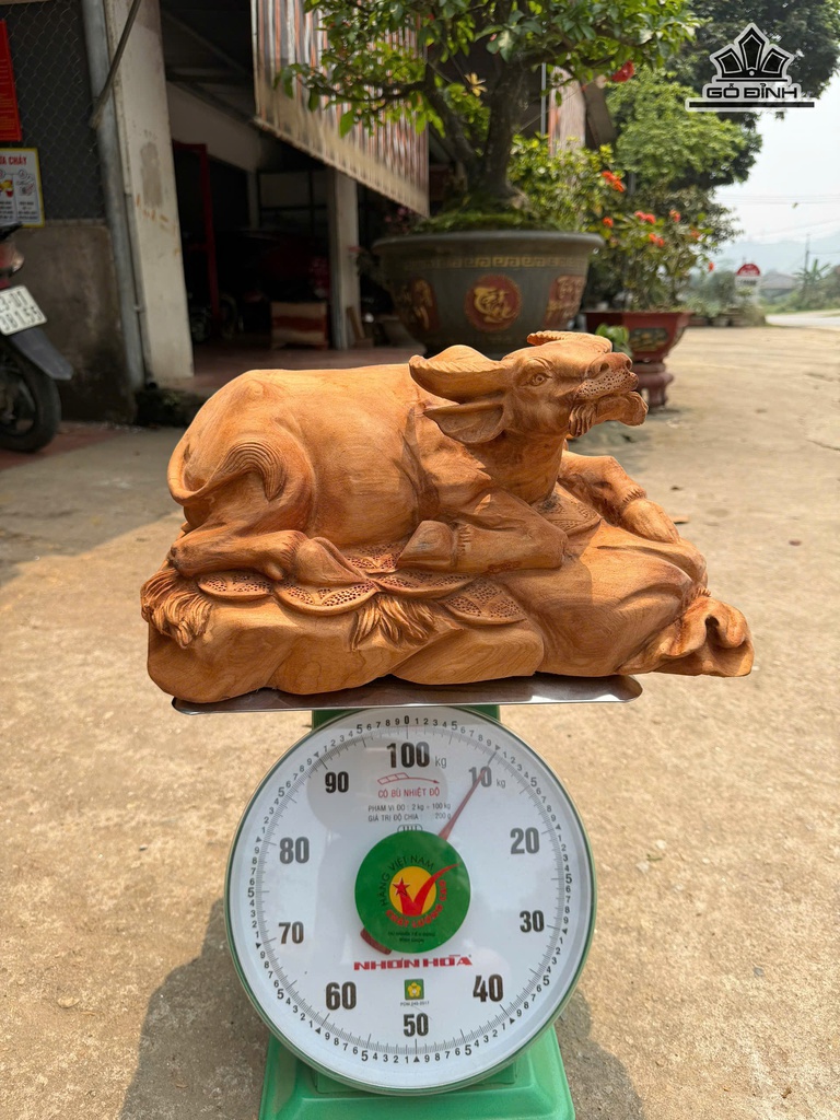 Tượng Trâu Gỗ Ngọc Am Cao 43 Ngang 24 Sâu 23 (cm)