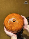 Phú Quý Gỗ Nu Hương Cao 11,5 Đường Kính 19 (cm)