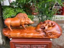 Tượng Heo Rừng Gỗ Nu Chun Sụn Hương Cao 21 Ngang 61 Sâu 27 (cm)