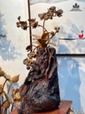 Cây Lan Hồ Điệp Gỗ Bách Xanh Cao 76 Ngang 42 Sâu 35 (cm)