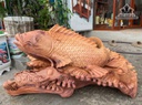 Tượng Cá Chép Vờn Kim Tiền Gỗ Hương Cao 48 Ngang 90 Sâu 33 (cm)
